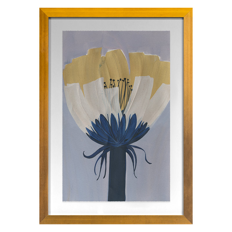 Yellow Cap Print by Morlock, Jody, 24" H x 17" W, Gold Framed