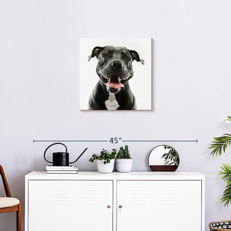 Brampt Smiling Black Pitbull, 20" H x 20" W