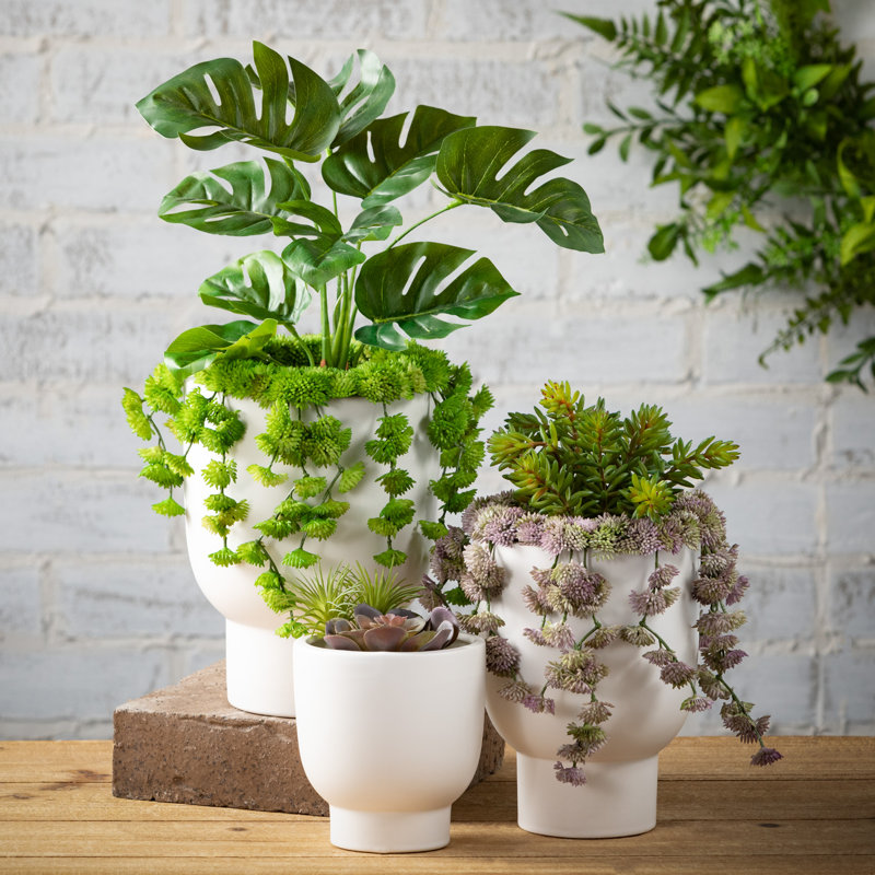 Ensemble de 2 plantes grasses artificielles Hatherleigh