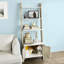 Agiiar 179cm H x 65cm W Ladder Bookcase