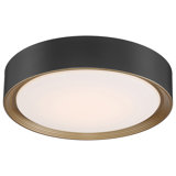 Courtois Acrylic LED Flush Mount
