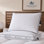 Ensemble de 1 oreiller en plumes et duvet d'oie pour lit ferme Pacific Coast
