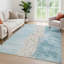 Tapis moderne Ceajay ACN3112 lavable à la machine pour intérieur et extérieur-178491730-178491741