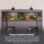 Très grand terrarium Deneishia-98577759-50170834