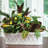 White Classic Oblong Ceramic Cachepot