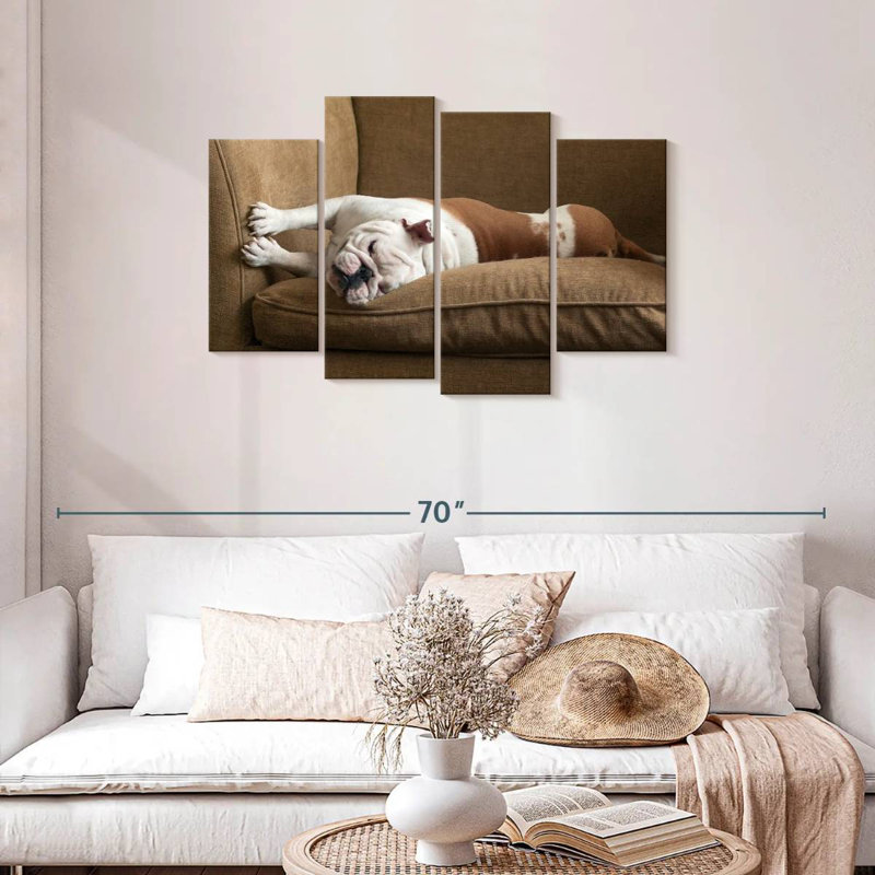 Bouledogue Brampt