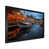 Black Picture Framed