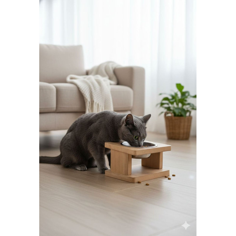 Bol pour nourriture pour animaux