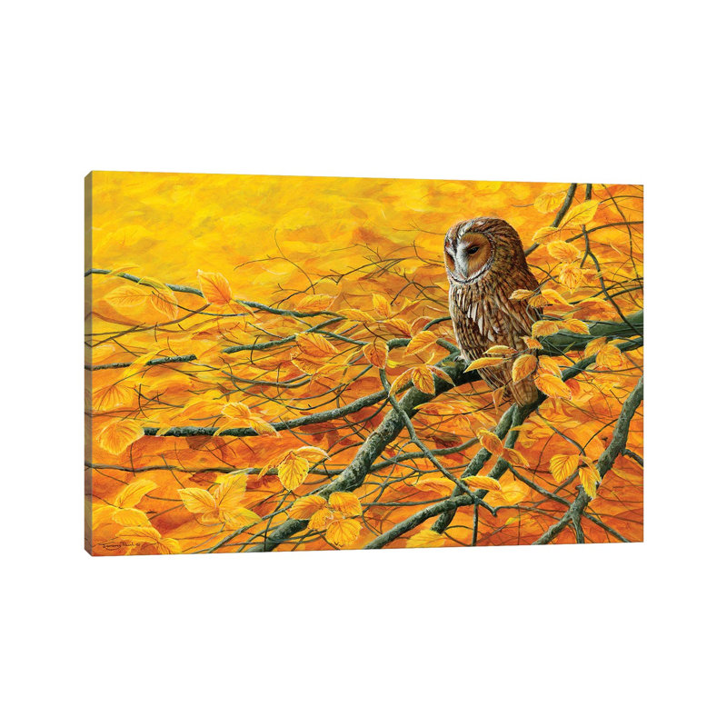 Golden Light Tawny Owl 1 Piece Painting on Canvas, 66.04cm H x 101.6cm W x 1.91cm D, Wrapped Canvas