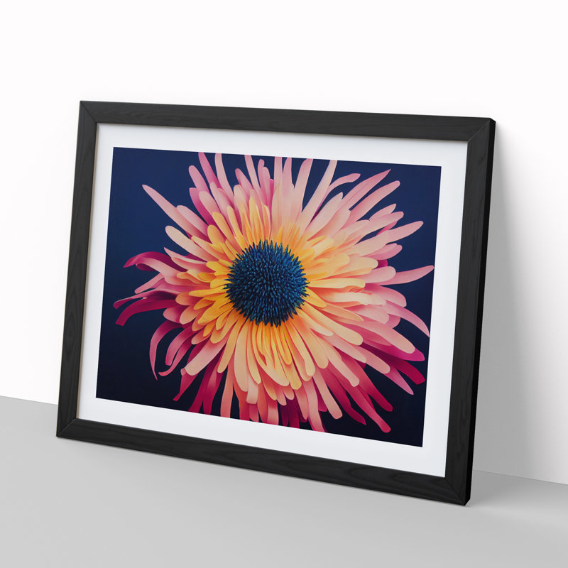 Unusual Chrysanthemum Flower - Framed Print, Black, 46cm H x 64cm W x 2cm D