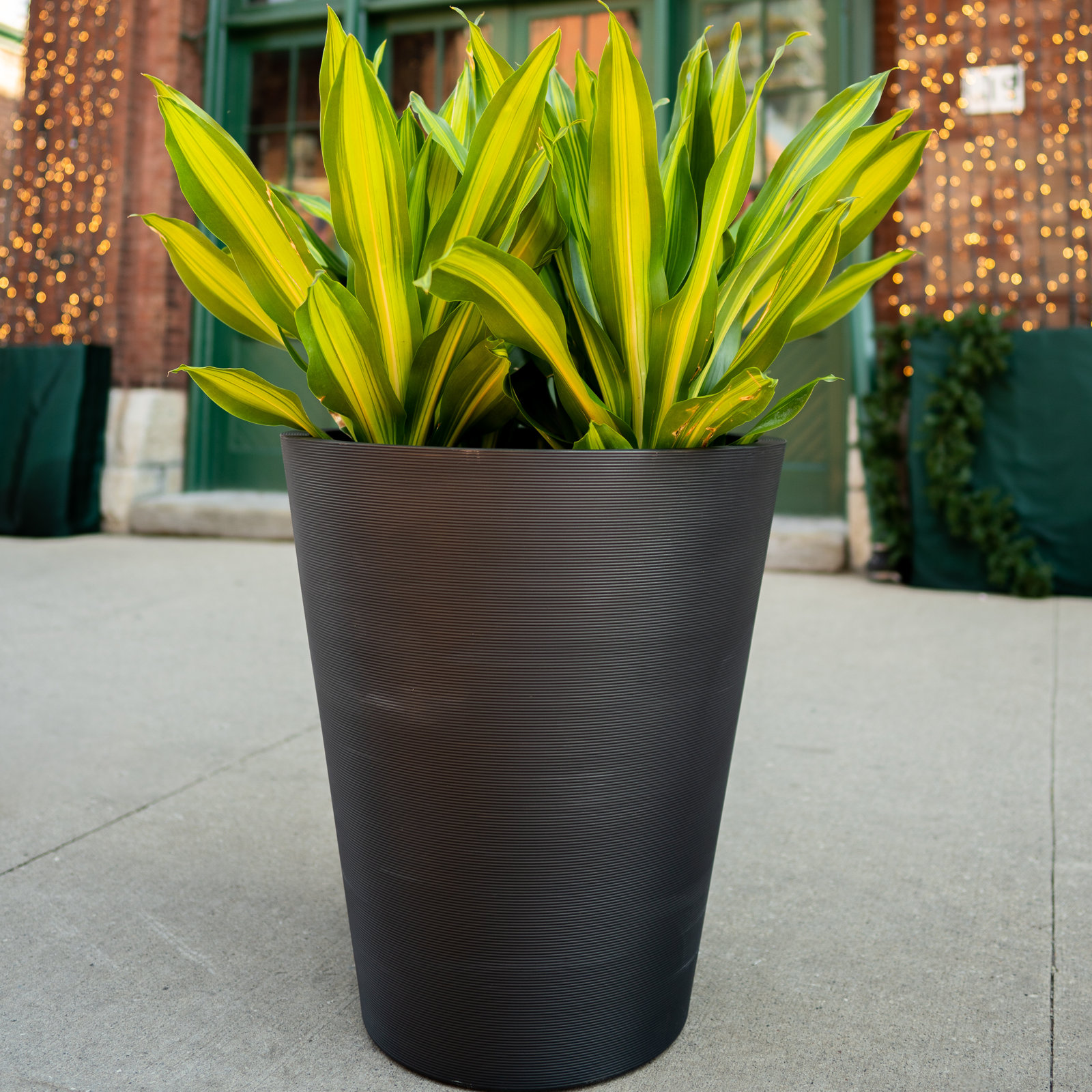 Pro Series 27" Pot Planter, Black