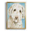 Labradoodle I, reproduction d'art encadrée-263641345-263641374