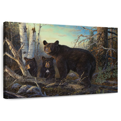 Absolument sauvage - L'ours noir
