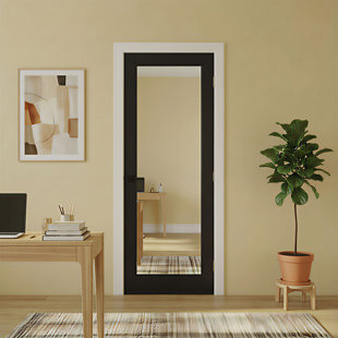 Portes de placard à miroir noires avec porte à dalle 1-Lite