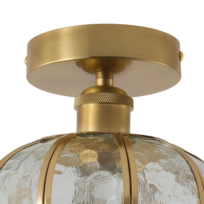 1-Transparent glass dimmable iron Flush Mount light