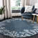Mance Indoor / Outdoor Rug