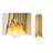Haga 2-Light Gold Stainless Steel Wall Sconce