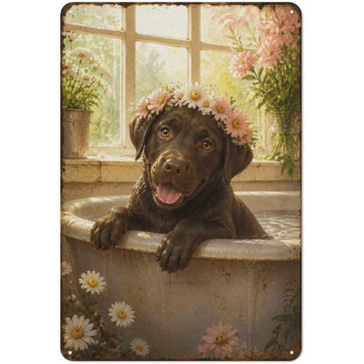 Mignon chocolat laboratoire salle de bain en métal plaque 8 x 12 pouces rétro décoration murale Art animalier rétro pour salle de bain toilette Home Club