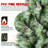 Christmas Tree-367284888
