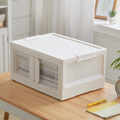 Rebrilliant Plastic Storage Tub & Tote