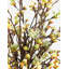 Elevated Spaces Cherry Blossom Arrangement in Vase