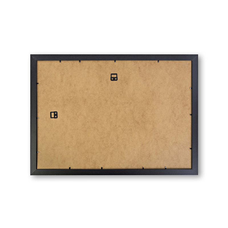 Robin Bird In A Tree - Single Picture Frame Painting, Black, 45cm H x 63cm W x 2cm D