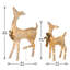 The Holiday Aisle® Fawn with Doe with LED Lights