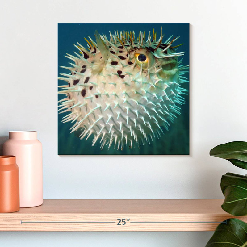 Brampt Puffer Fish, 16" H x 16" W