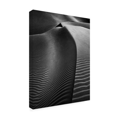 Txules   Dunes Of Nude Canvas Art