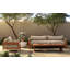 Nathanson Teak Patio Chair with Cushions