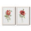 Pivoine écarlate - ensemble de 2 reproductions d'art-1707268020-1707268027-1707267970