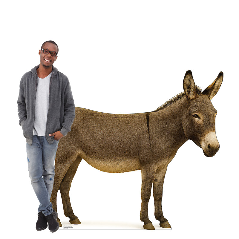 Donkey
