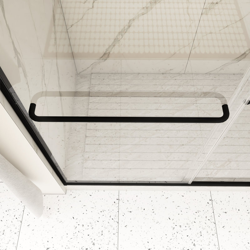 54 po X P 72 po Porte de douche coulissante double H, Noir mat