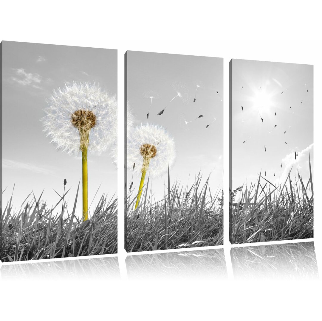 3-tlg. Leinwandbilder-Set „Pusteblumen auf Wiese“, Fotodruck 