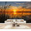 Papier peint adhésif autocollant Sunset Calm Lake Silhouetted Reeds Orange Sky-185662649