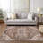 Ceajay Oriental Indoor Rug-109568378
