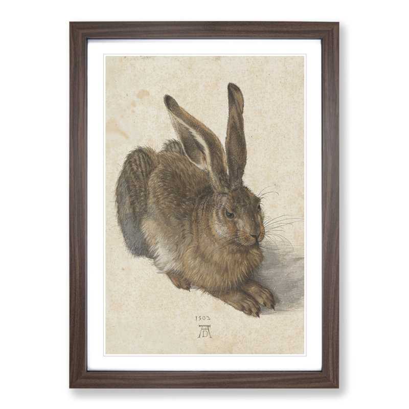 Hare by Albrecht Dürer - Framed Print, 90cm H x 65cm W x 2cm D, Walnut Framed