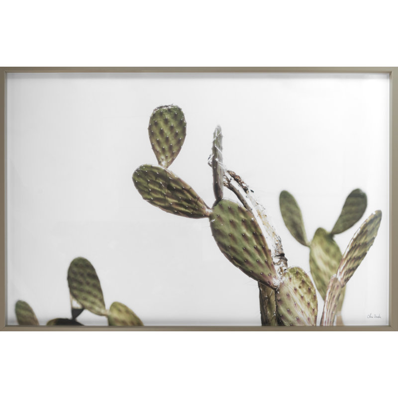 Az Botanical 37 by Chris Dunker - Photographie avec cadre, H 29 po x l 43 po