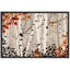 Aspen Birch «Forest Birch Trees» sur-99141904-99141905