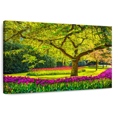 Parc de jardin Sireci Keukenhof