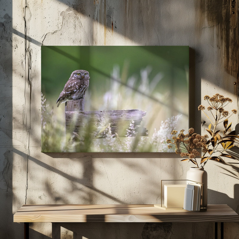 Wrapped Canvas Print, 50.8 cm H x 76.2 cm W