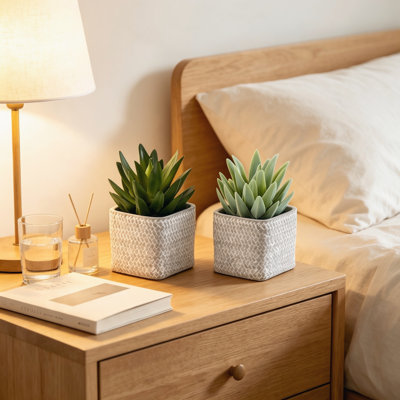 8"H Set of 2 Artificial Succulent Faux Plant - Lifelike Textured Foliage, Matte Grey Cement Planters - Tabletop Contemporary Modern Decor for Indoor Home Office