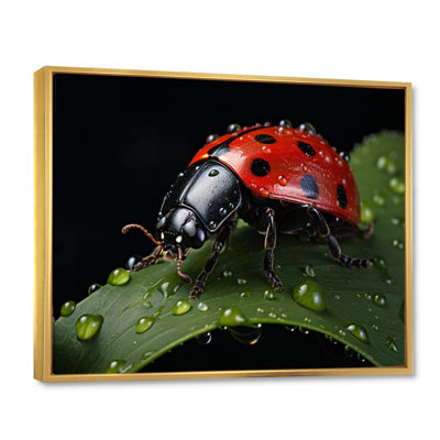 Red Ladybug Portrait I - Animals Wall Art Living Room