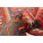 Andelz Red Rug 4'3" x 6'4"