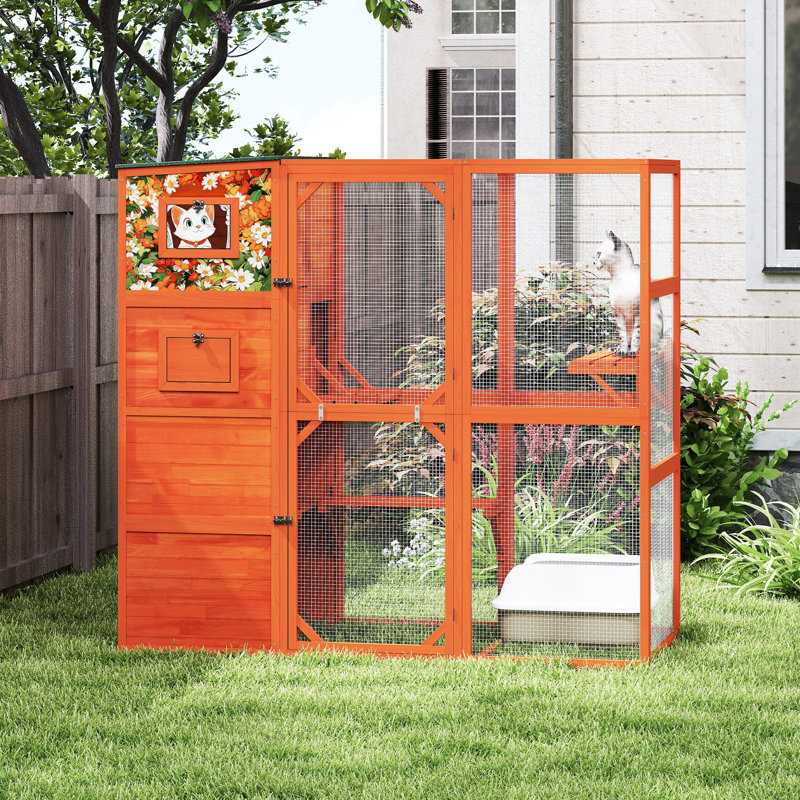 Large Outdoor Cat Enclosure