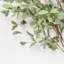 Branche de feuilles d'eucalyptus artificiel de 36 po pour remplissage de vase-298288713