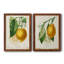 «French Lemon I», ensemble de 2 reproductions d'art sur toile-540716655-540716624