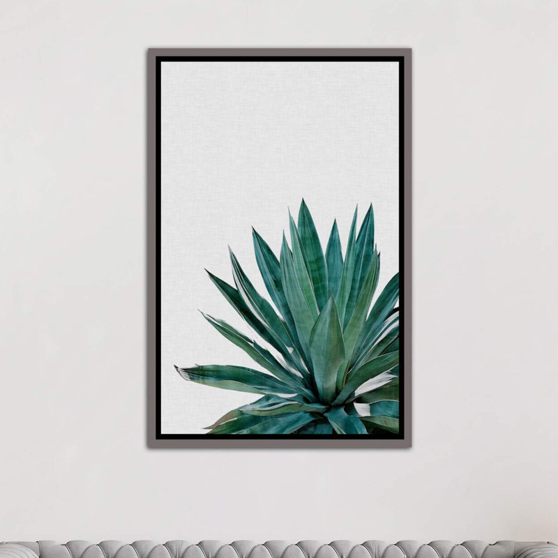 « agave cactus »-impression photographie, H 40 po x l 26 po x P 1,5 po, Toile encadrée de bois rustique foncé