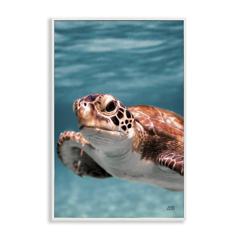 Tortue de mer sous l'eau, estampe numérique par Max Blakesberg Studios, Estampe numérique encadrée blanc bord de mer