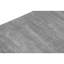 Area Rug in Gray